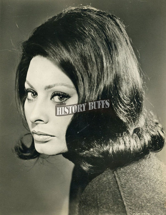 Sophia Loren